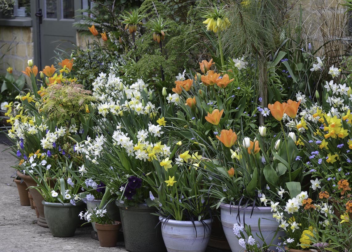 Container Talk2 2025 1140x815