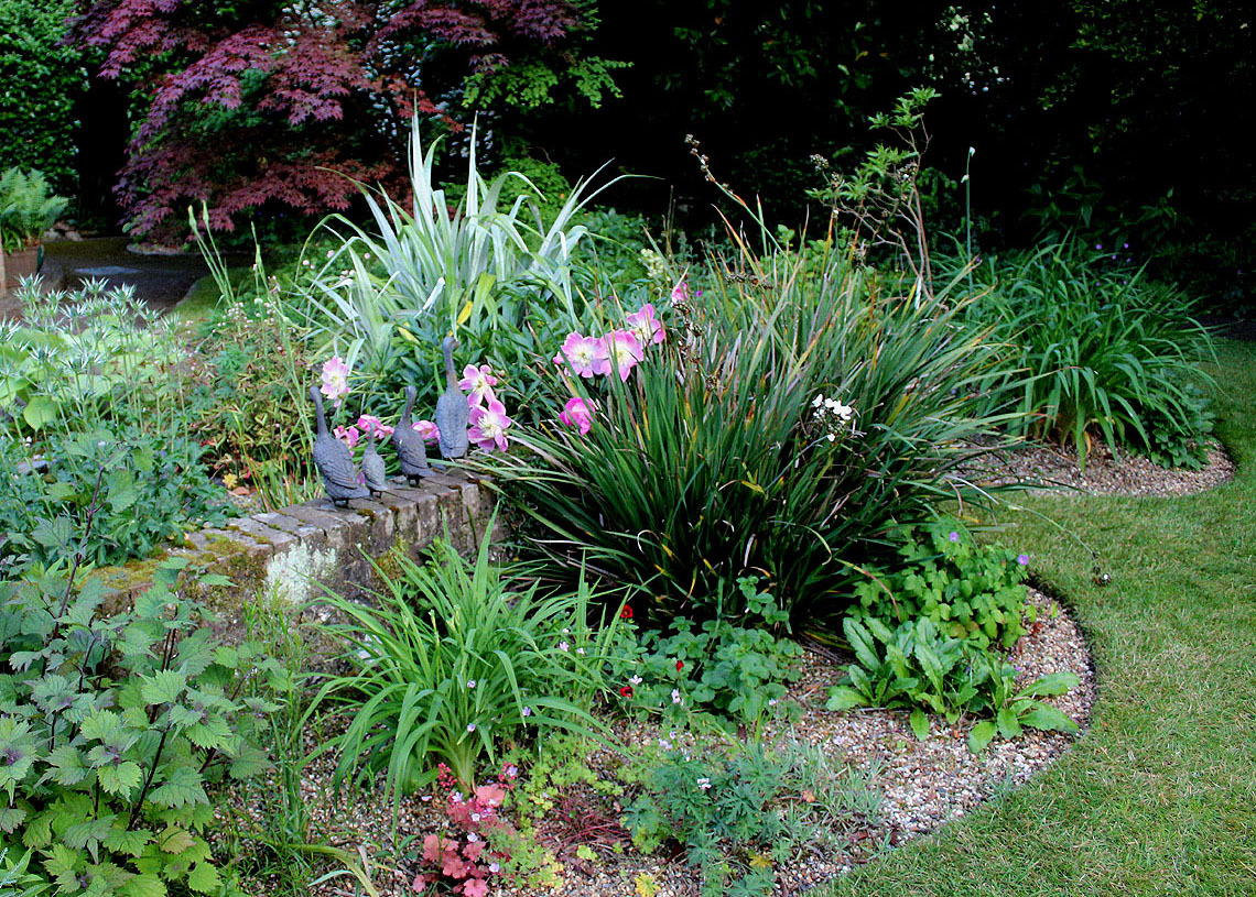 Variety of perennials with attractive foliage in the gravel garden