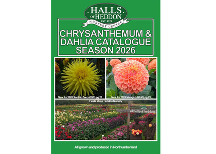 Halls of Heddon 2026 - web