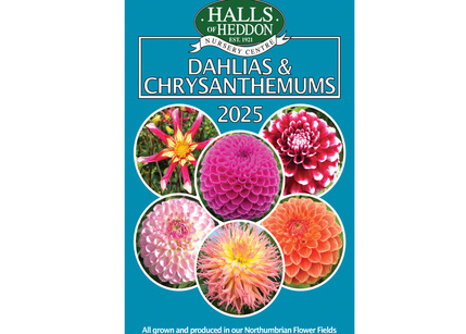 Halls of Heddon Catalogue 2025