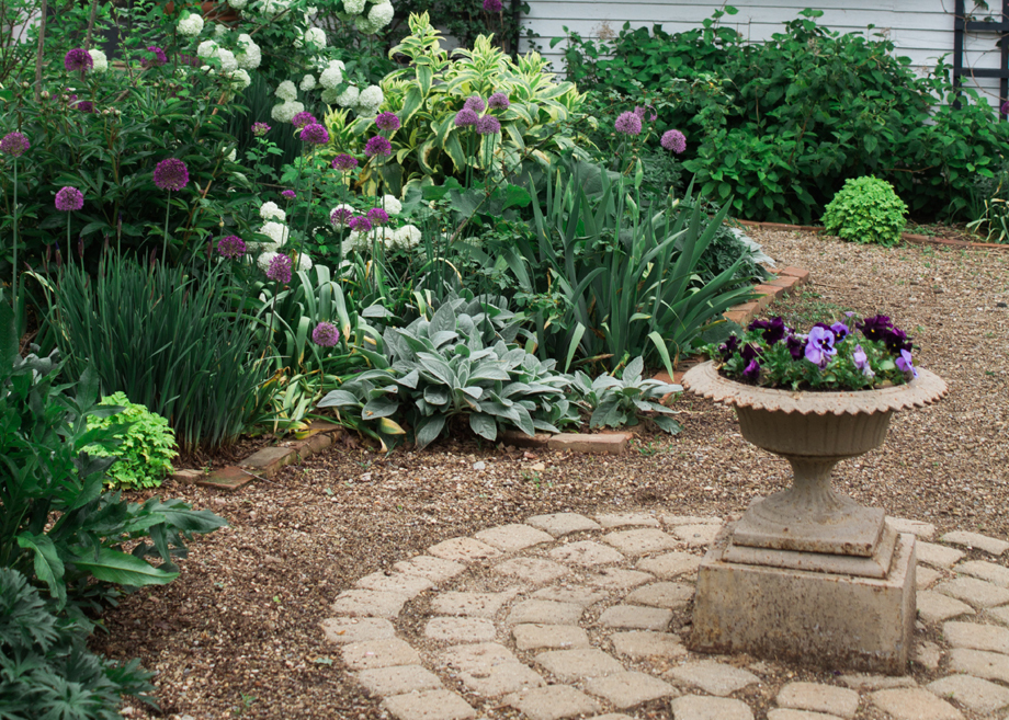 Low Maintenance Gardening 2024