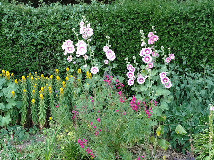 Meadow Cottage - Main Border 1