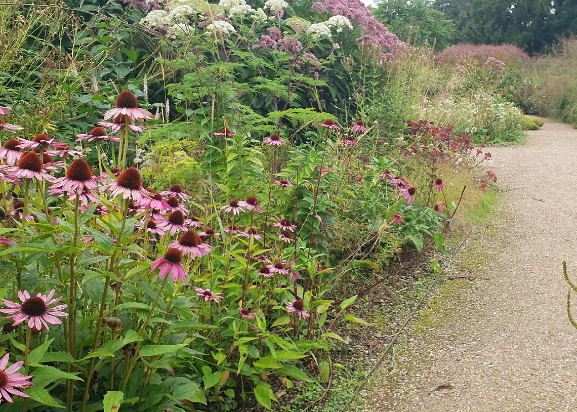 Naturalistic Planting