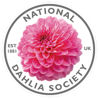 NDS Logo 2025