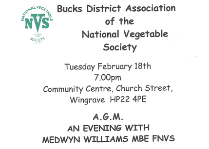 NVS Meeting 18 Feb 2025