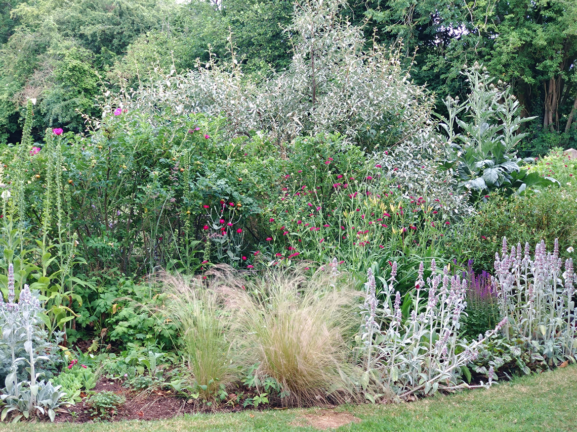 Robin Hill Borders by Meadow 1b