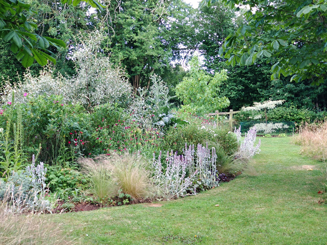 Robin Hill Borders by Meadow 1a
