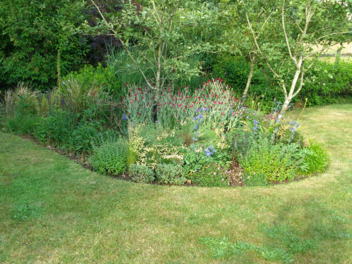 Robin Hill Borders by Meadow 2