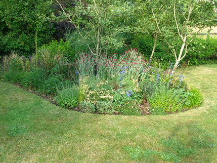Robin Hill Borders by Meadow 2