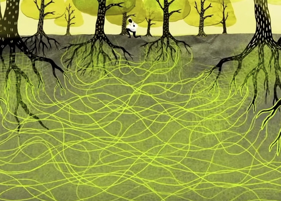 Roots