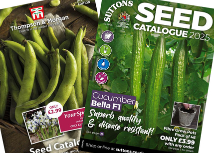 Seed Discount Catalogues 2025