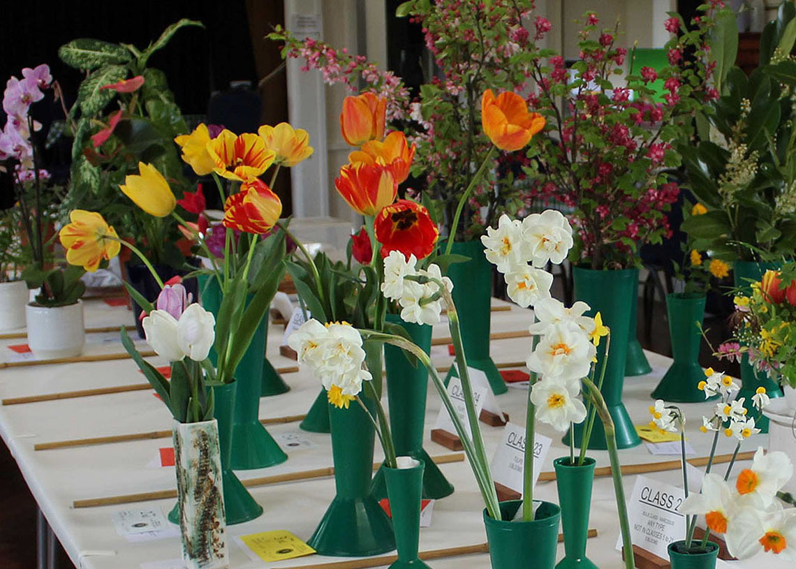 Spring Show 2024 1140x815