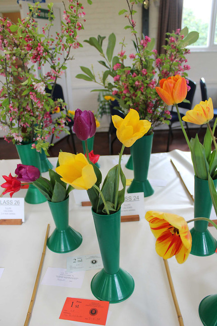 Spring Show 2024 - Class 24