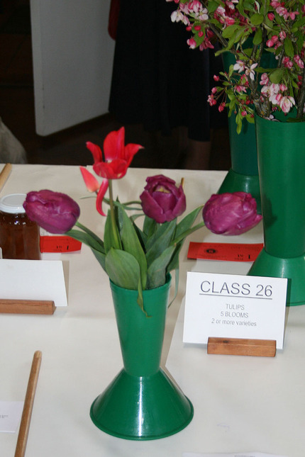 Spring Show 2024 - Class 26, 2 or More Varieties