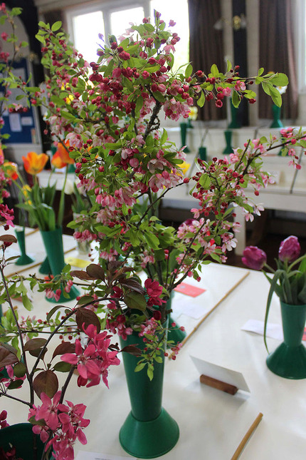 Class 4 - Shrub Blossoms