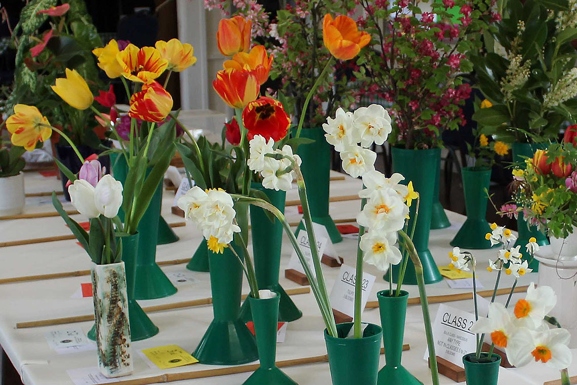 Spring Show 2024 -Spring flowers 1