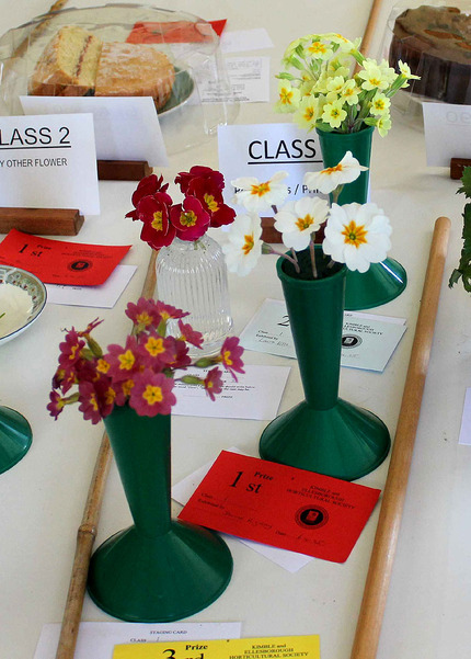 Spring Show 2025 - Class 1 P