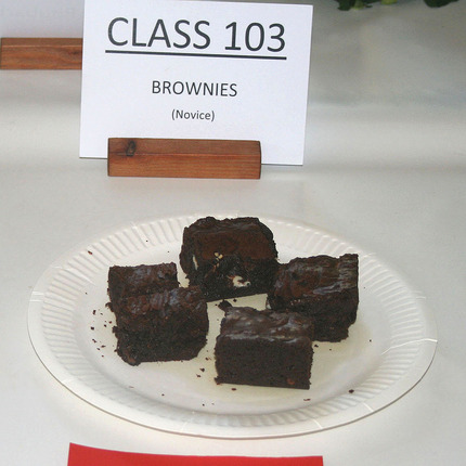 Spring Show 2025 - Class 103 SQ