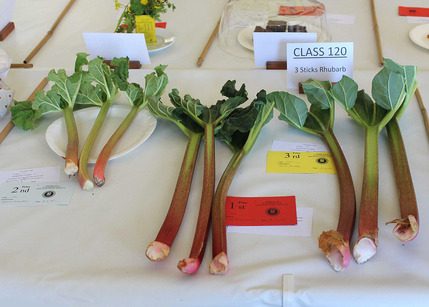 Spring Show 2025 - Class 120 L