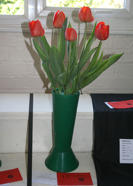 Spring Show 2025 - Class 25 P