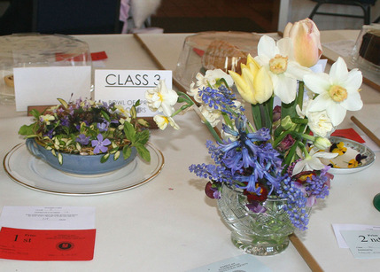 Spring Show 2025 - Class 3