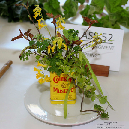 Spring Show 2025 - Class 52 SQ