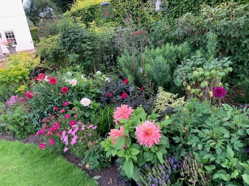 Springfield Farm - Borders