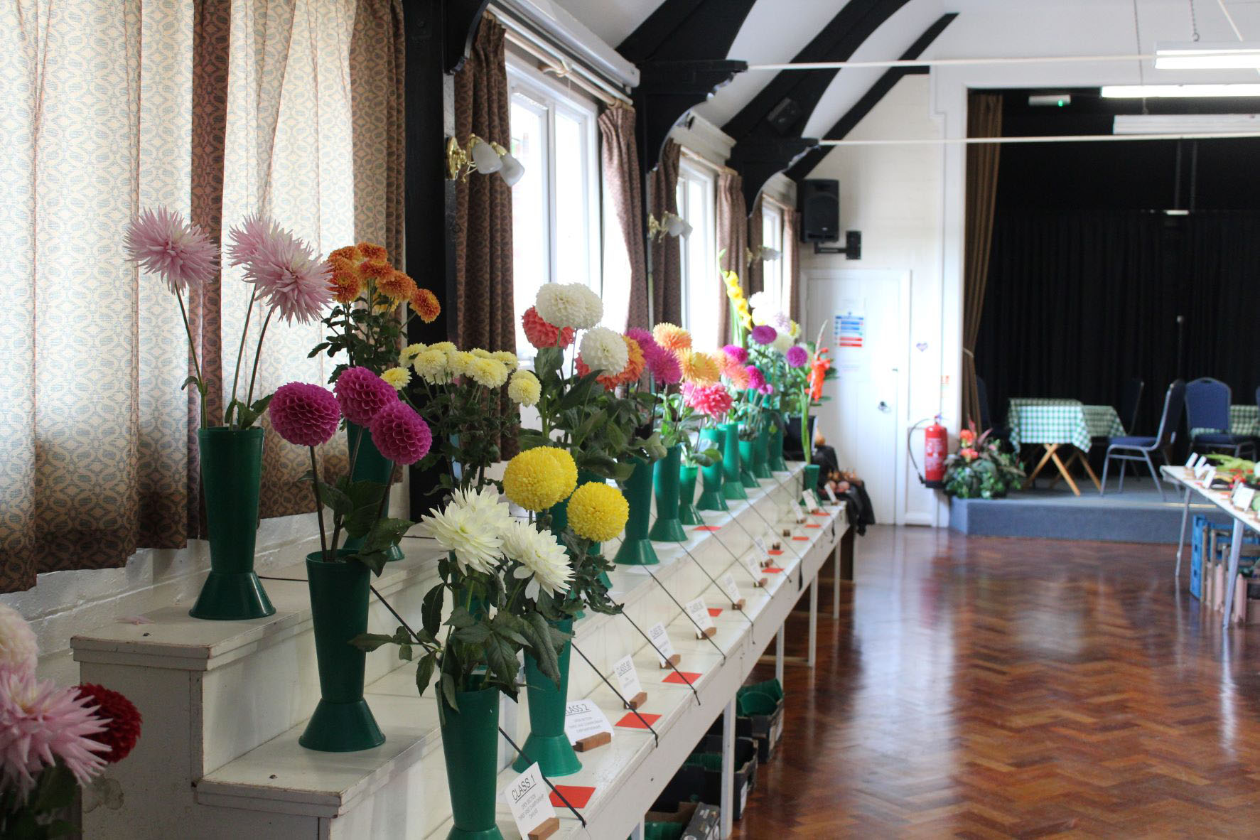 Autumn Show 2022 - Chrysanthemums Autumn Show 2022 - Chrysanthemums