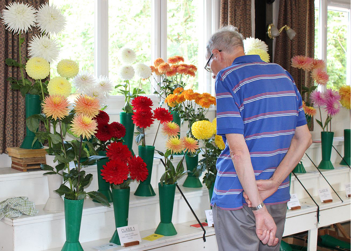 Autumn Show 2019 - Dahlias & Chrysanthemums