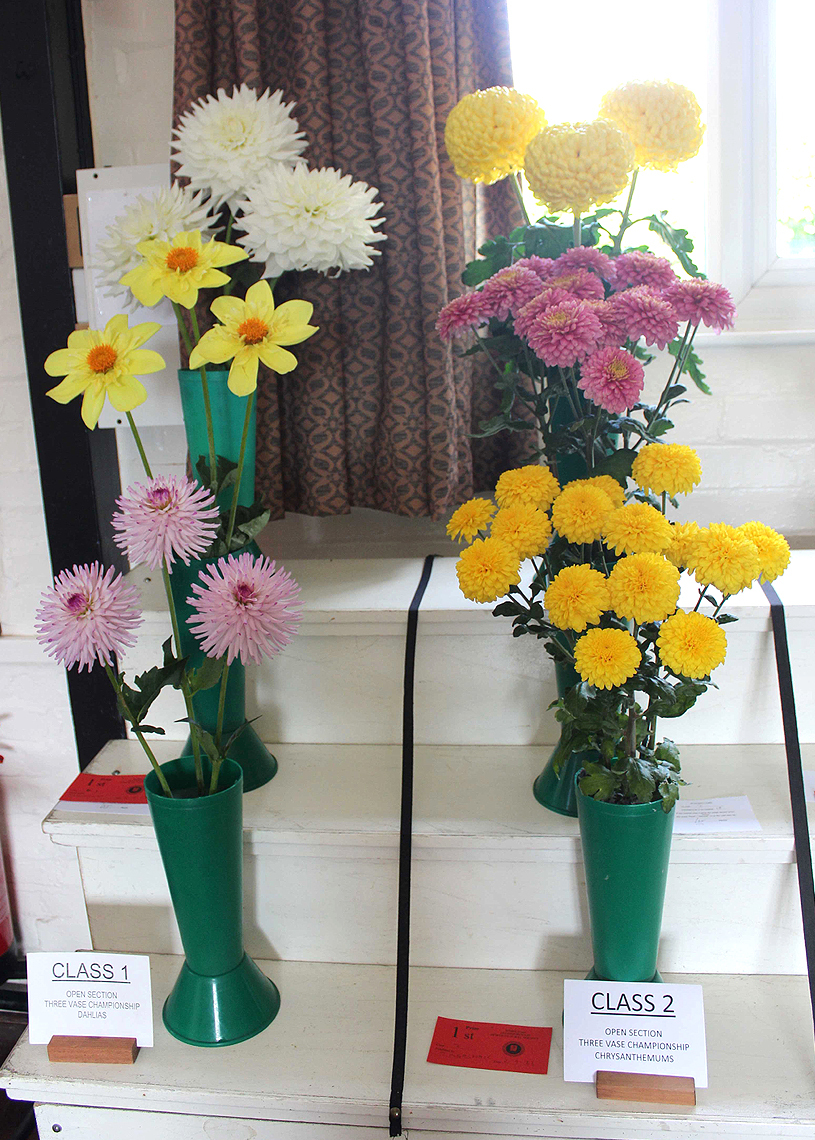 Autumn Show 2023 - Dahlias & Chrysanthemums