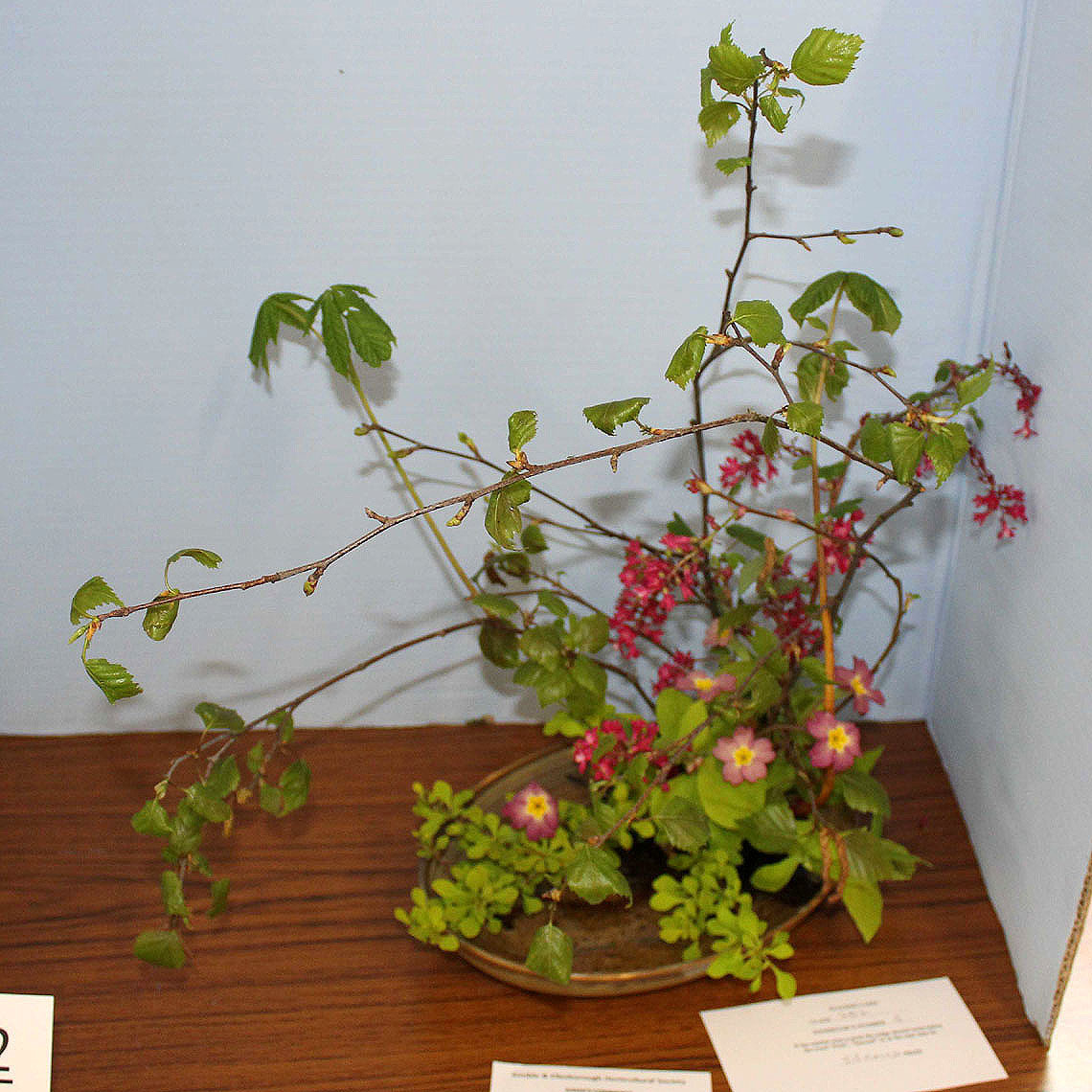Autumn Show 2024 - Spring Time