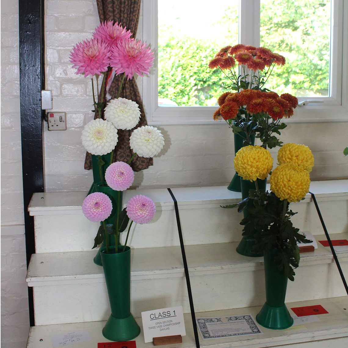 Autumn Show 