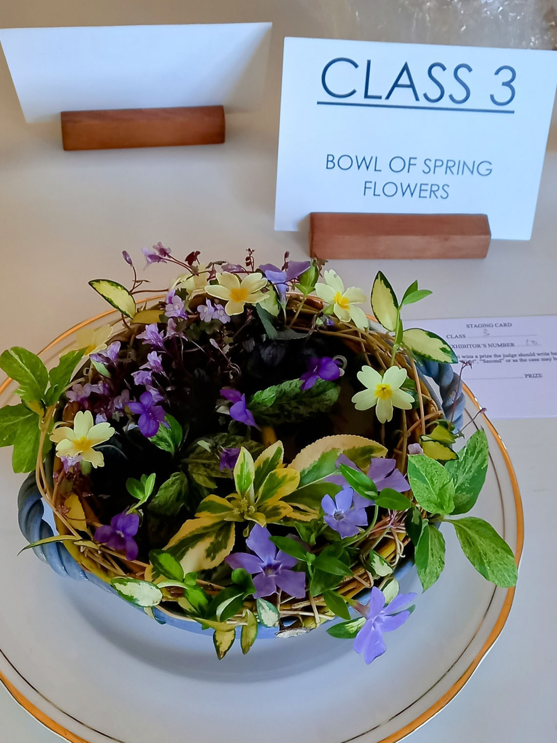 Flower Arranging Supports 3