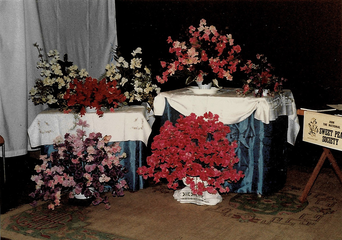 History 1985 Summer Show - Sweet Peas