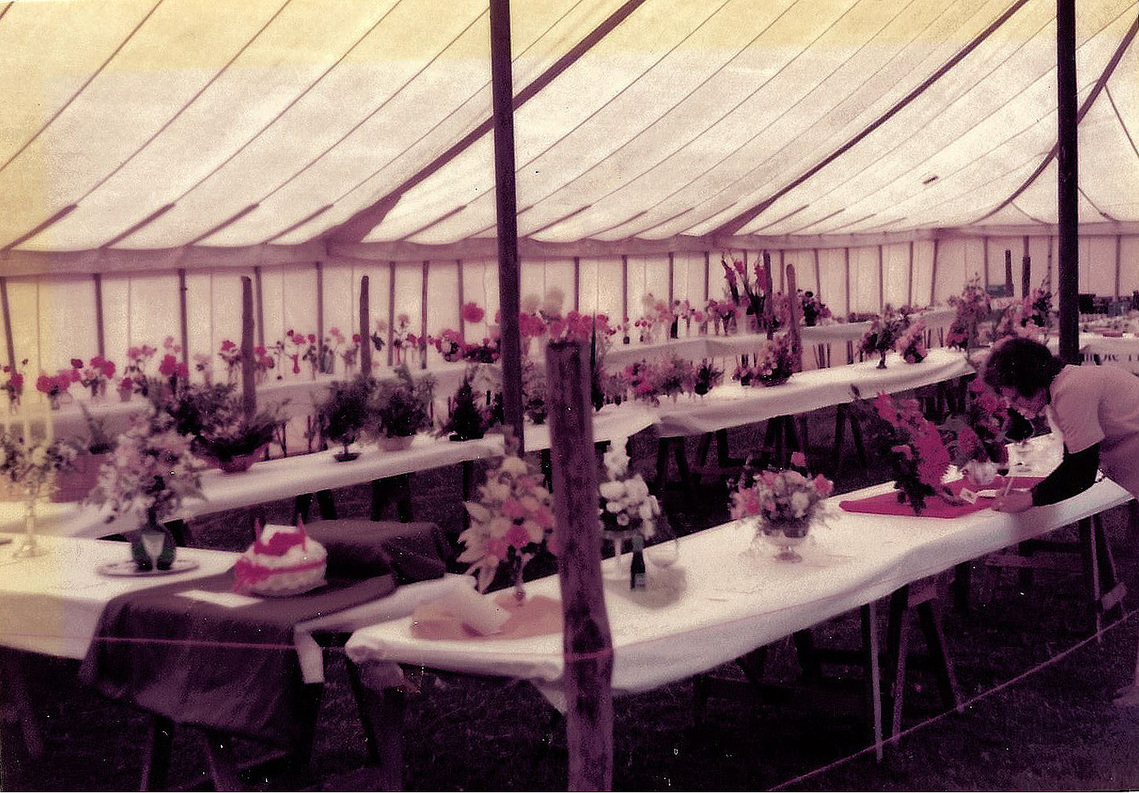 History - Show 1979A