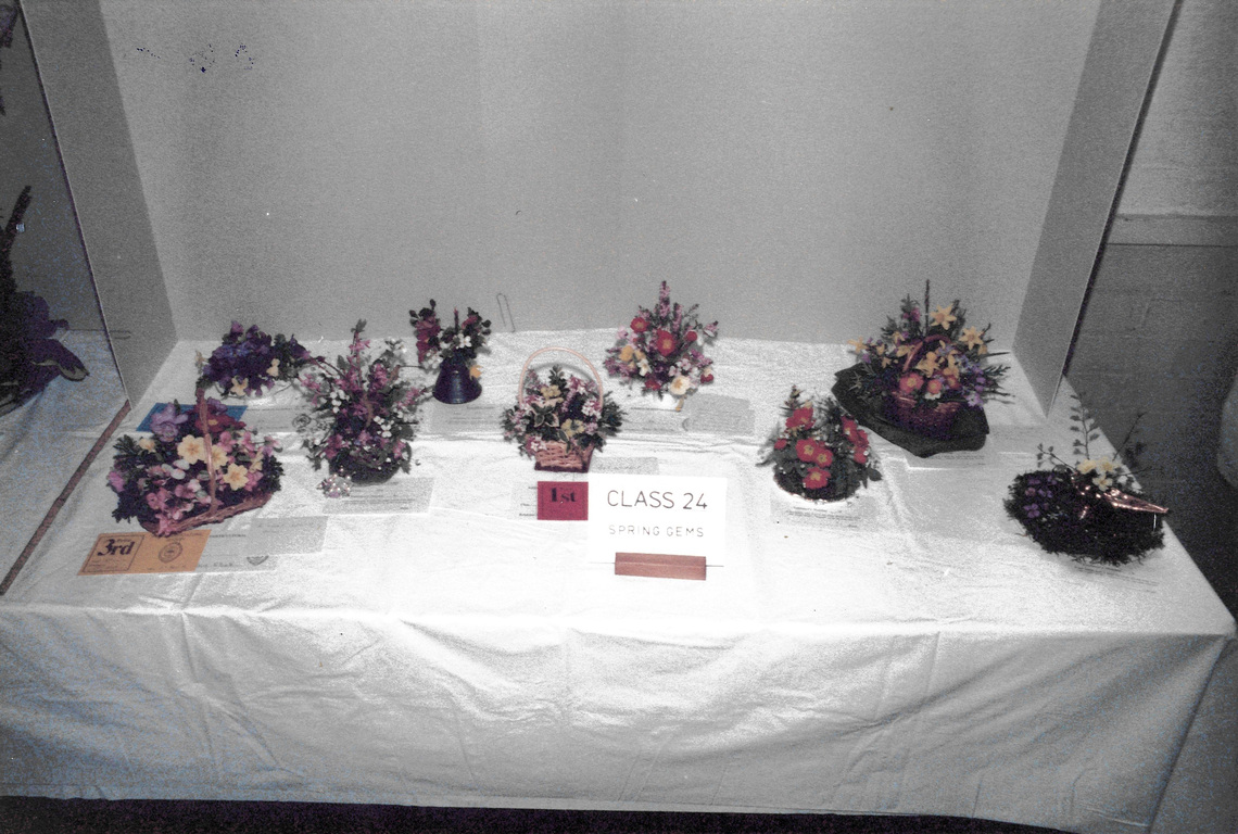 History Spring Show 1986 C