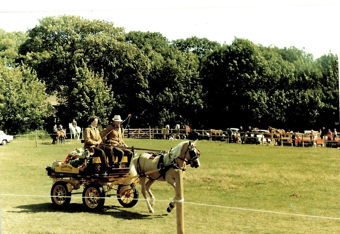 Horse Show 1979B