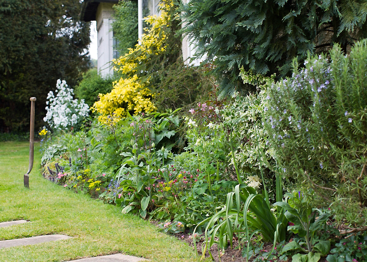 Meadow Cottage, Christmas Common