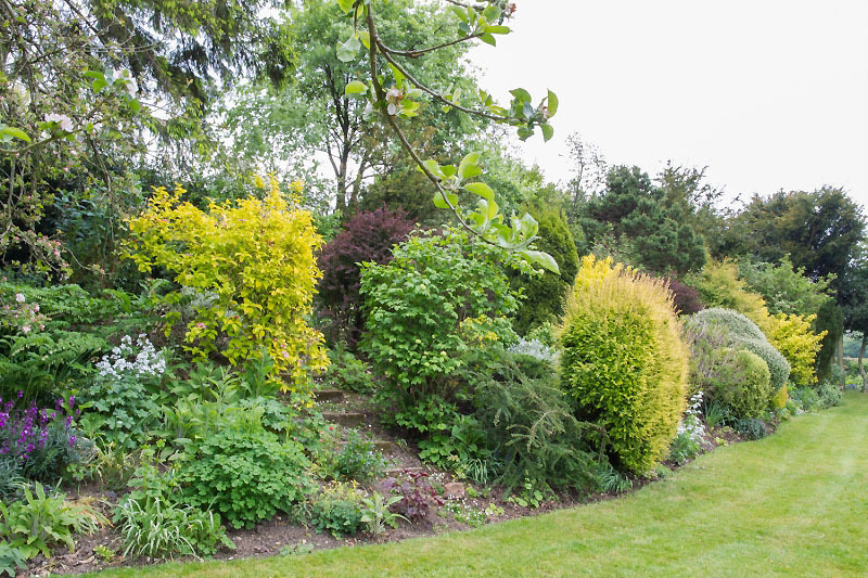 Meadow Cottage - Border
