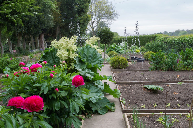 Meadow Cottage - Kitchen Garden