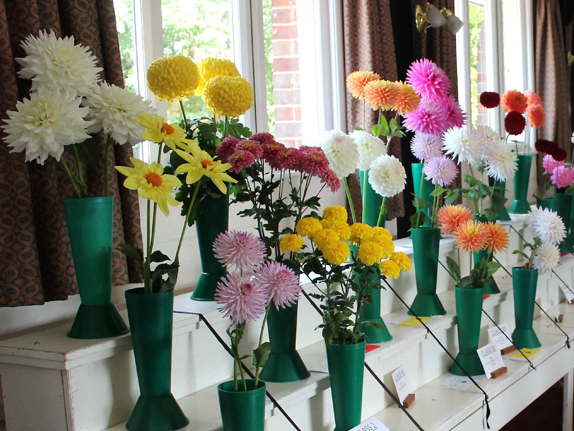 Oasis Substitutes - Dahlias 1140x855