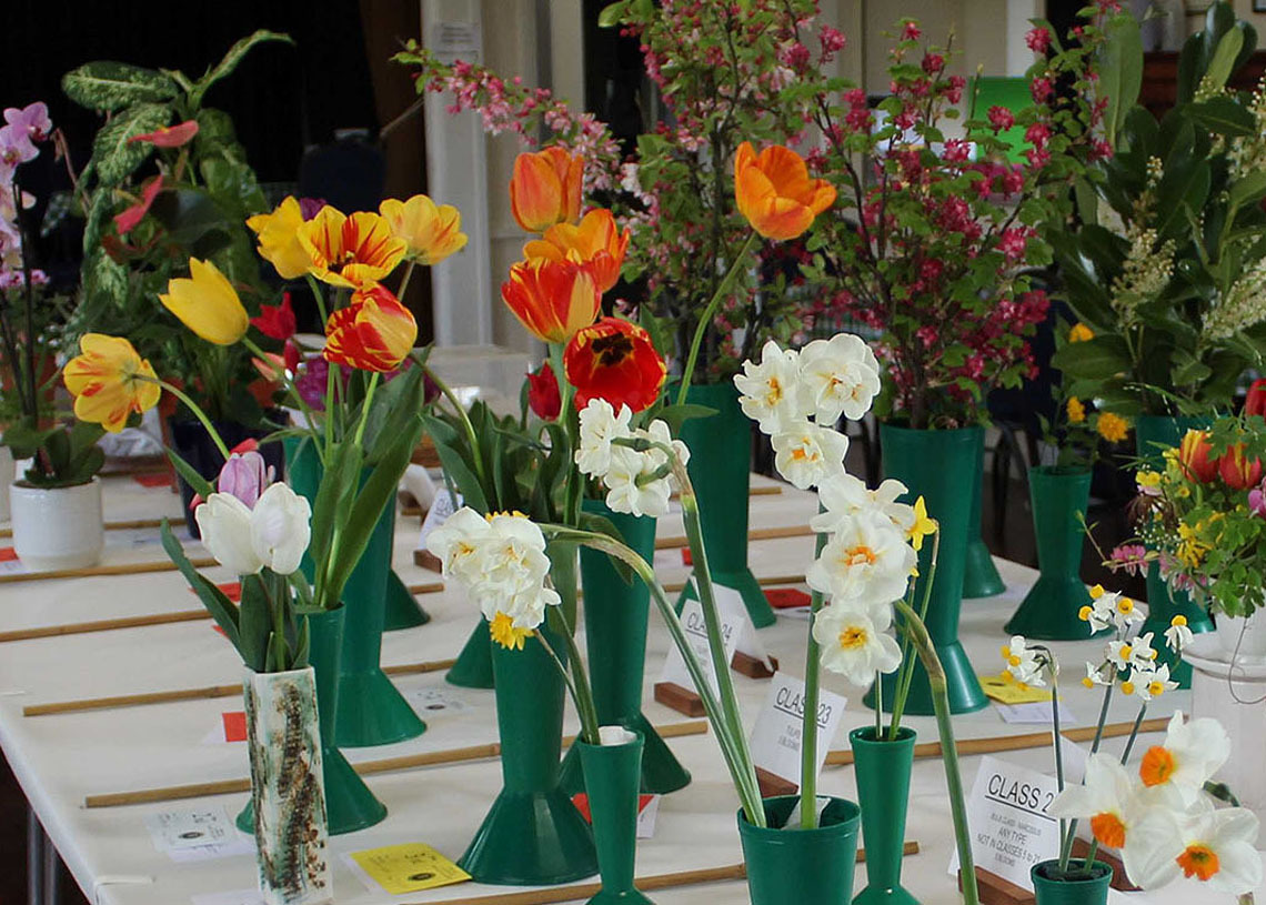 Spring Show 3 1140x815