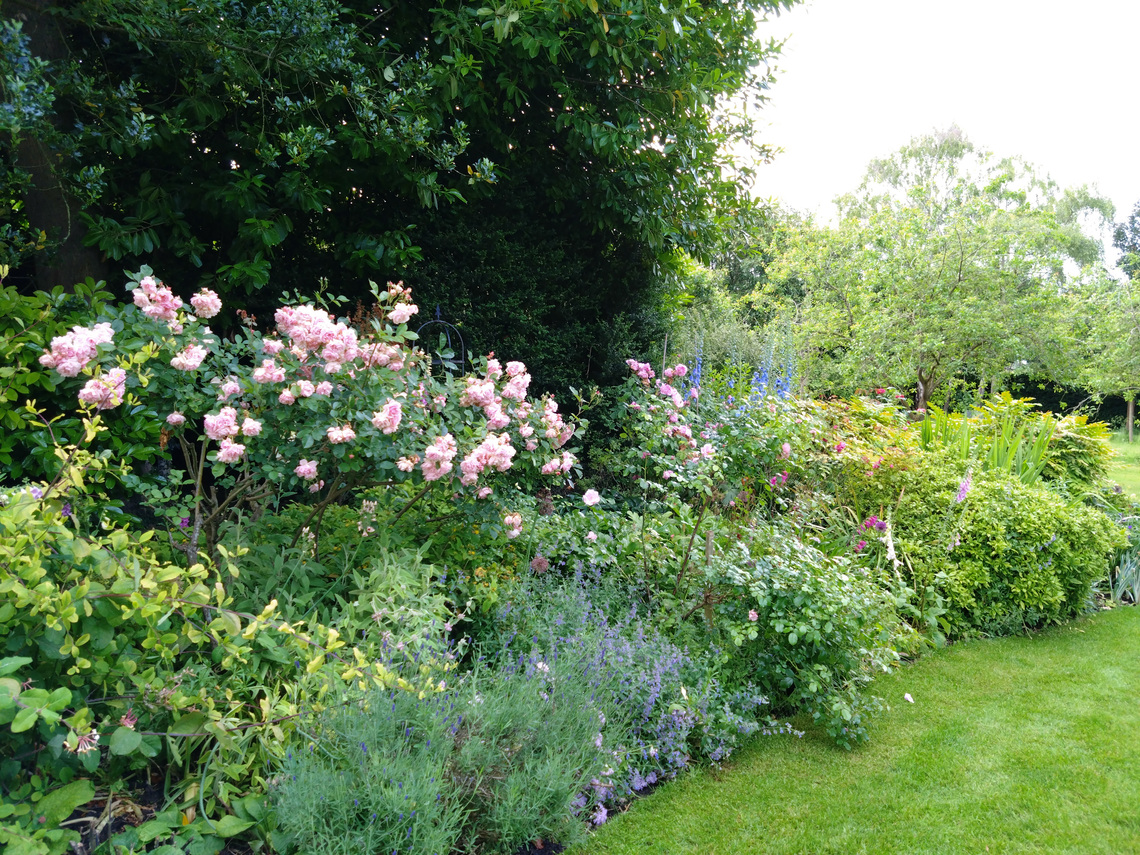 Springfield Farm - herbaceous border 