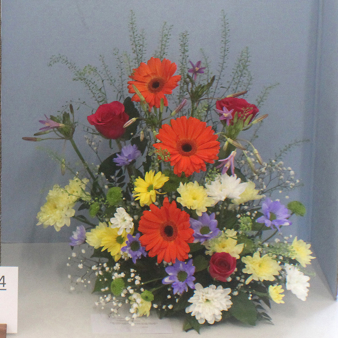 Summer Show 2018 class 204