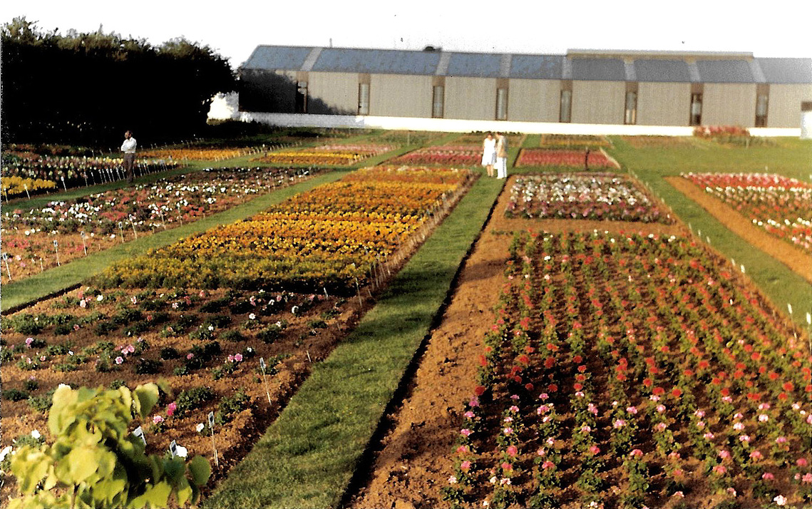 Visit to Colgraves Nursery 1982